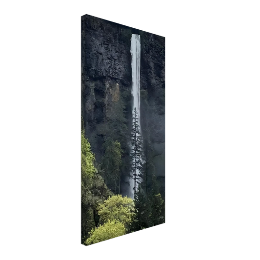 8cfd60dc-d6af-4f28-b4ff-a67f1b07b43c