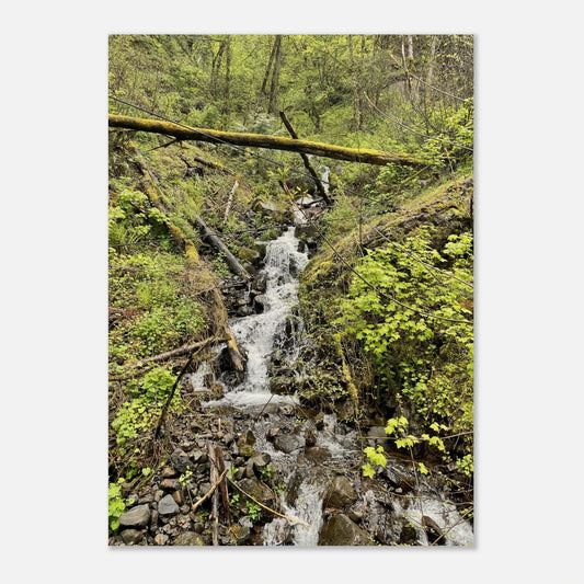 2fc24cd4-f2f2-4dd4-a12d-291379e7edb6