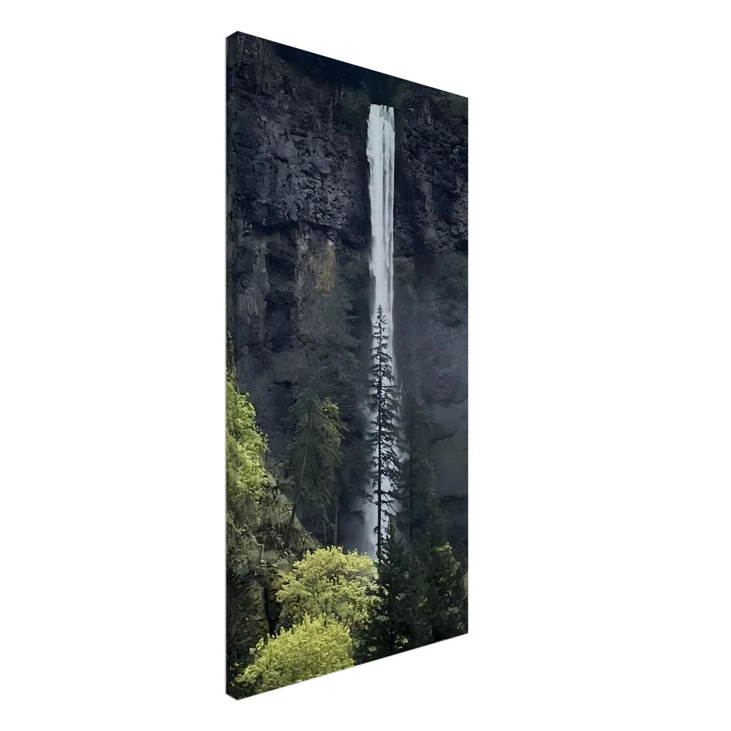 51b1ff8a-b056-406f-9e87-8d43ff2a8987