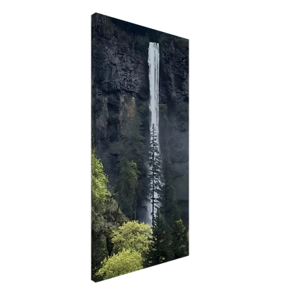 51b1ff8a-b056-406f-9e87-8d43ff2a8987