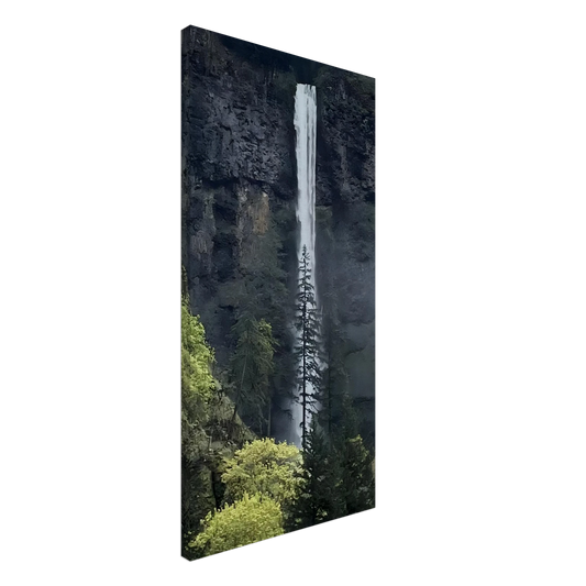 51b1ff8a-b056-406f-9e87-8d43ff2a8987