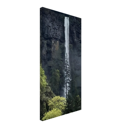 8cfd60dc-d6af-4f28-b4ff-a67f1b07b43c