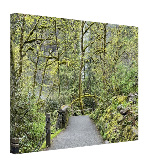 aa4128e4-43c4-4bd9-ae5a-2fe307ac02ee