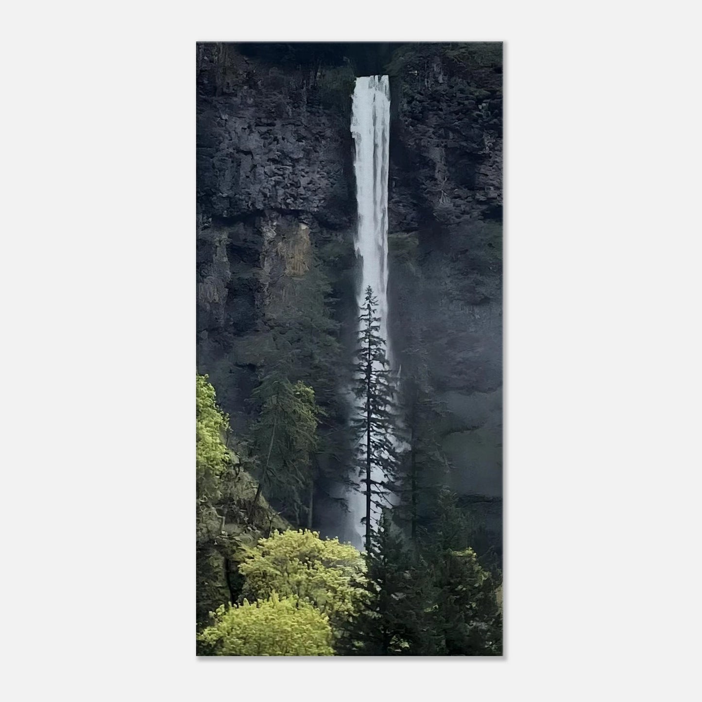 b1ee575a-36a6-43f7-b6eb-acce239b8237