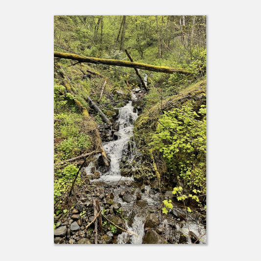 ca03e50f-b599-4bbb-baca-cb7a5b7357e5